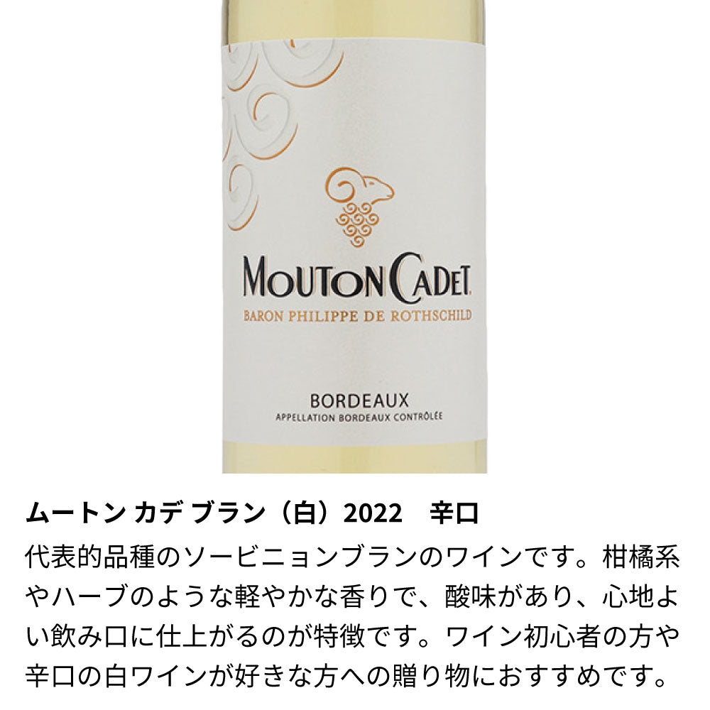 ミニワイン☆スタグラム - SNS風ラベルのワイン 375ml