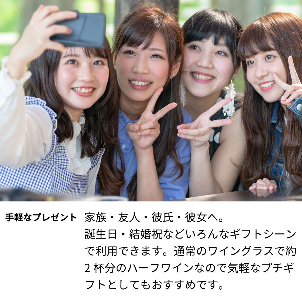 ミニワイン☆スタグラム - SNS風ラベルのワイン 375ml