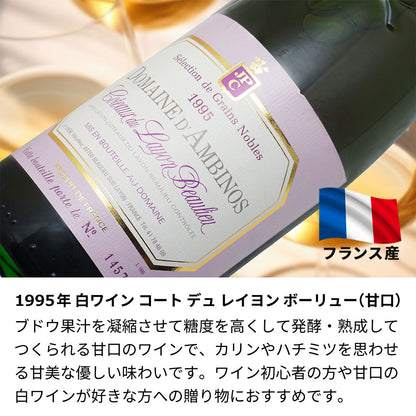 1995年(当たり年) 生まれ年ワイン ペアグラスのセット 名前入り彫刻のお酒 平成7年