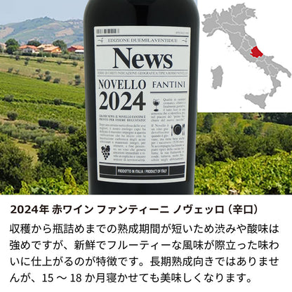 《 11/12以降のお届け》2024年 生まれ年ワイン イタリア産 ファンティーニ ノヴェッロ 名前入り彫刻のお酒 ペアワイングラスのセット 令和6年