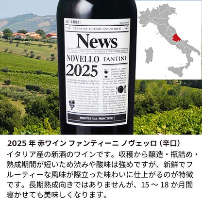 【予約受付：11/8以降にお届け】2025年 生まれ年ワイン イタリア産 ファンティーニ ノヴェッロ 名前入り彫刻のお酒 ペアワイングラスのセット 令和7年