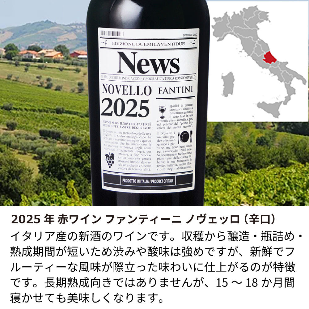 【予約受付：11/8以降にお届け】2025年 生まれ年ワイン イタリア産 ファンティーニ ノヴェッロ 名前入り彫刻のお酒 ワイングラスのセット 令和7年