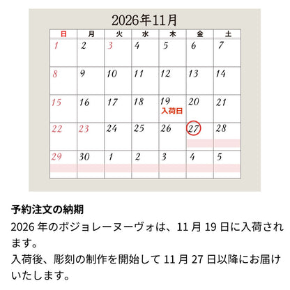 《予約注文:11月27日以降納品》2026年 生まれ年ワイン グラスのセット ボジョレー ヌーヴォ 名前入り彫刻のお酒 令和8年