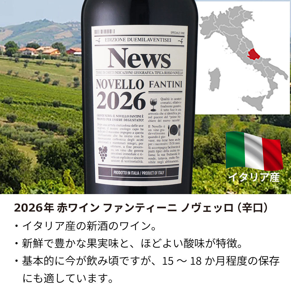 2026年 生まれ年ワイン イタリア産 ファンティーニ ノヴェッロ 名前入り彫刻のお酒 令和8年 木箱入