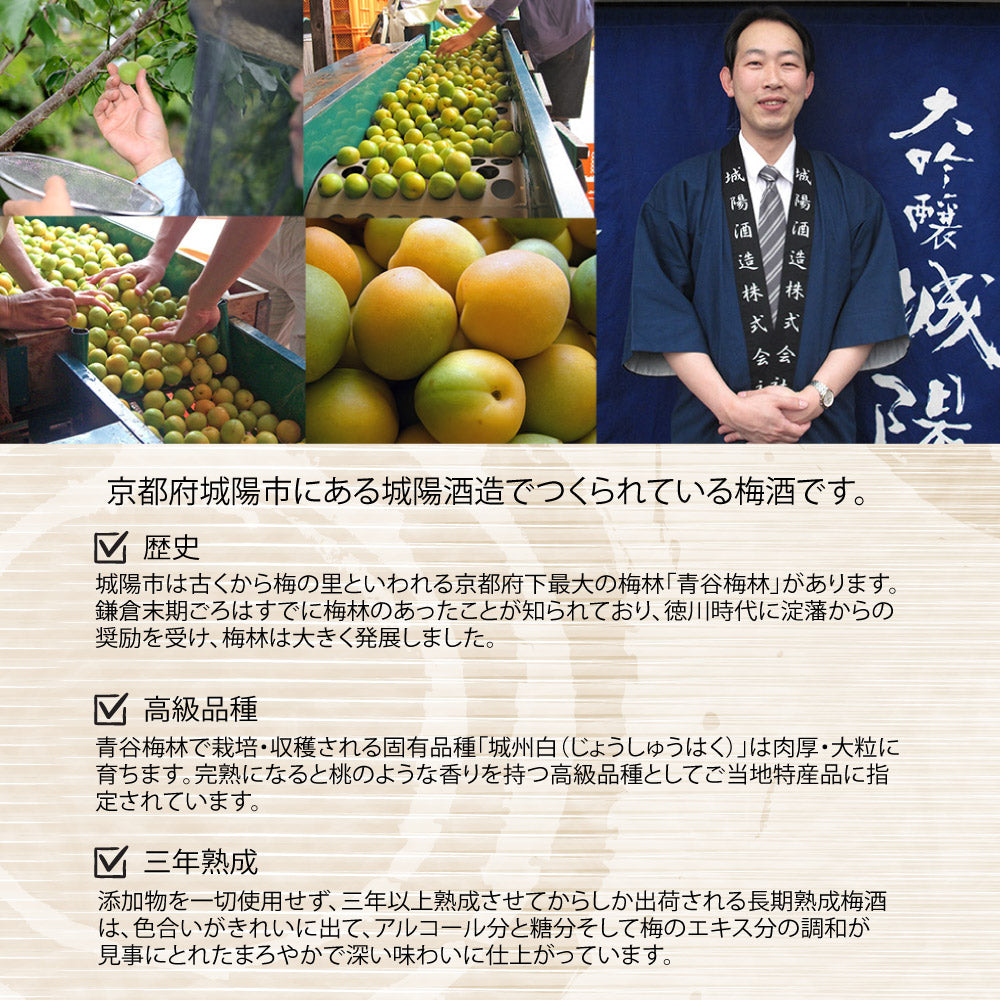 感謝状の梅酒 名前入り彫刻  城州 720ml 京都の地酒 会社表彰 送別 退職祝い