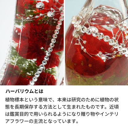 還暦祝 ハーバリウム／プリザーブドフラワー 名前入り彫刻 ガラスの靴