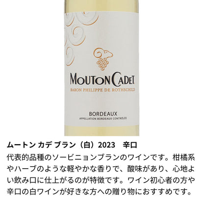 ミニワイン☆スタグラム - SNS風ラベルのワイン 375ml