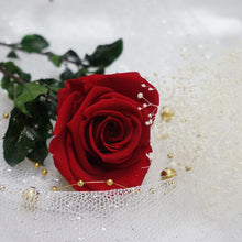画像をギャラリービューアに読み込む, 名前入り彫刻 プリザーブドフラワー 赤いバラ/ラインストーンデコ - 誕生日 結婚祝

