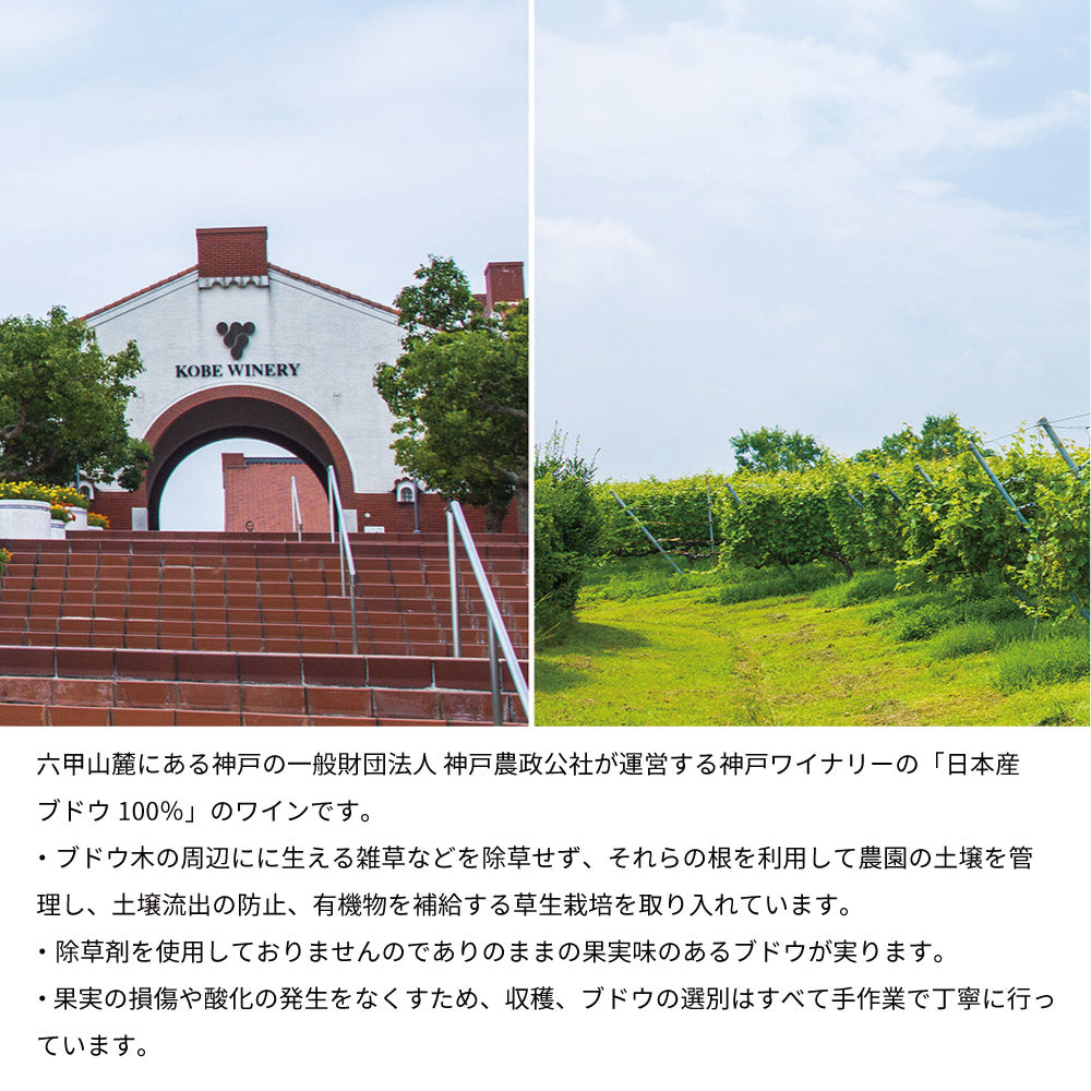 着物付 名前入り彫刻 神戸ワイン 赤白セット